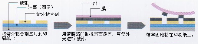 冷烫和膜转印工作原理